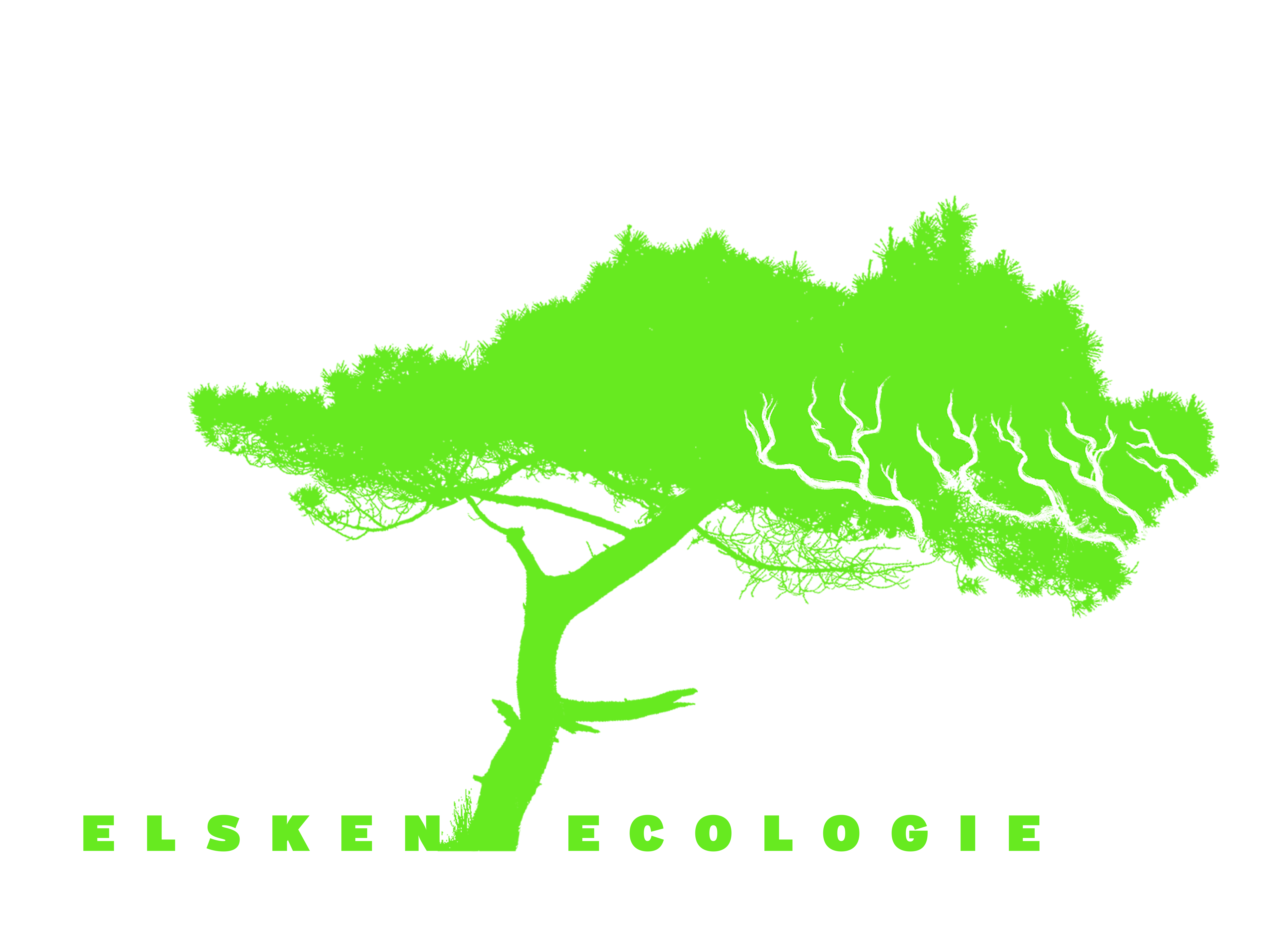 Elsken Ecologie LOGO min