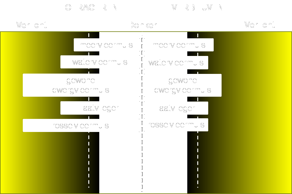 licht en soorten