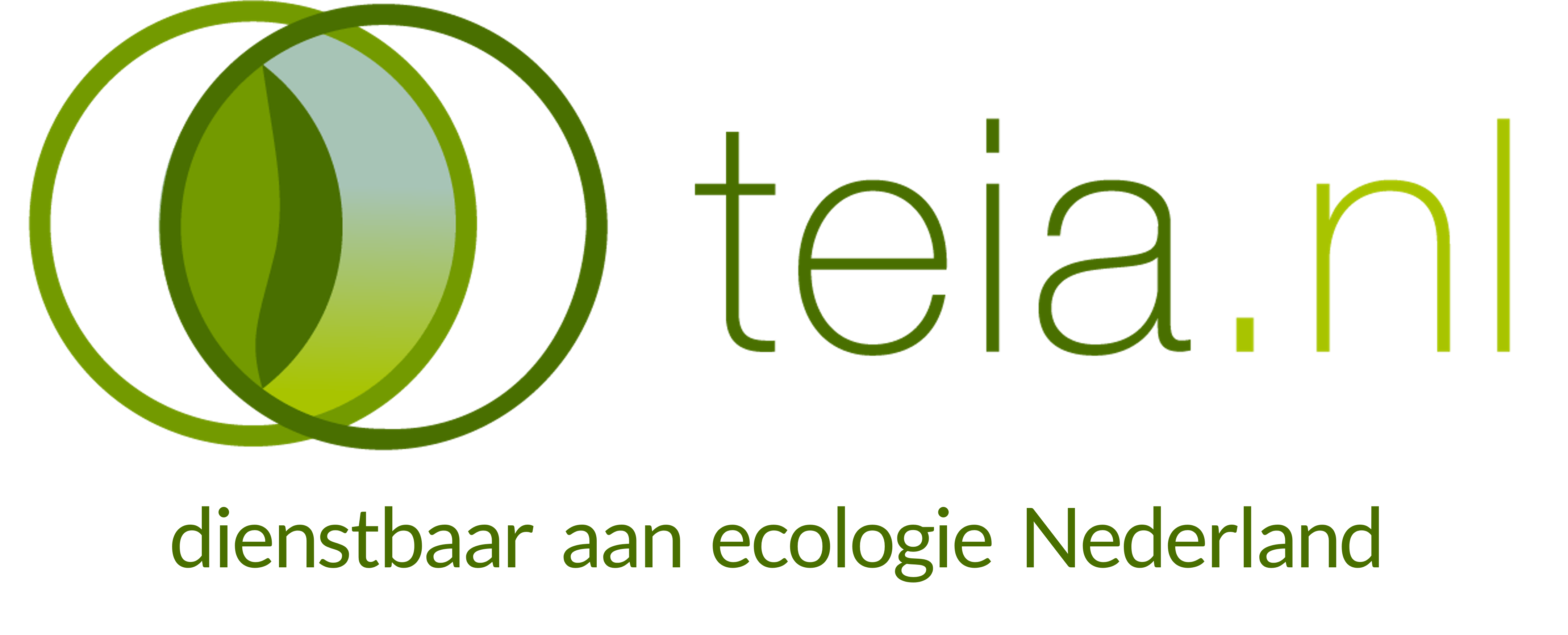 Teia logo full color2