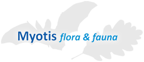 logo myotis